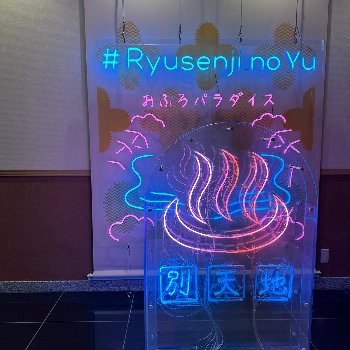 【関東お出かけスポット】雨の日おすすめ 自律神経整うサウナ・スパ ♨️