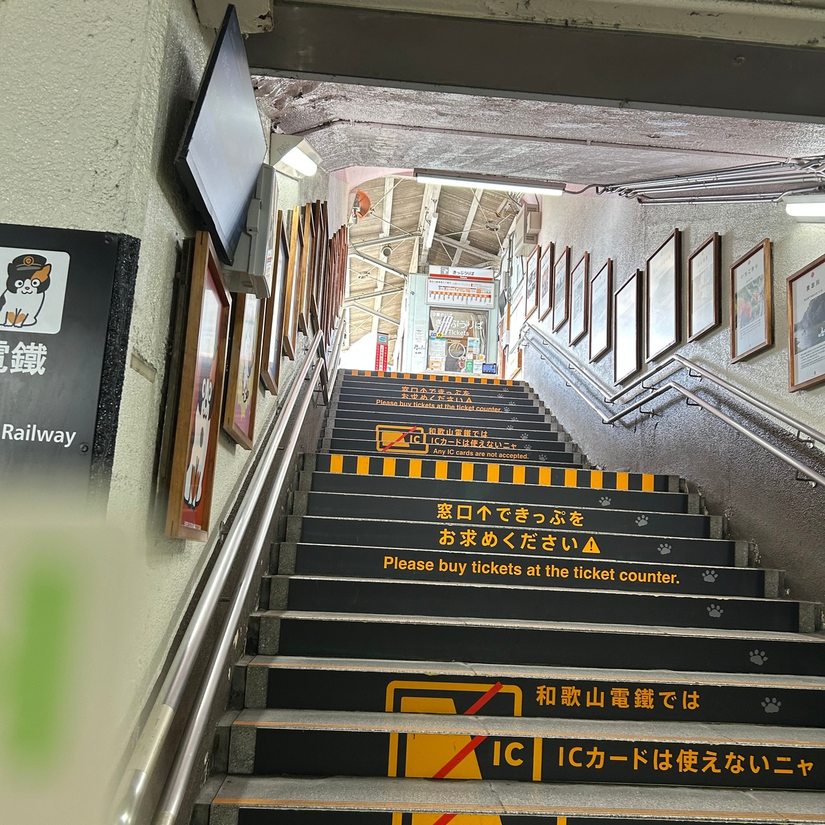 【和歌山】ねこのいる駅！？
