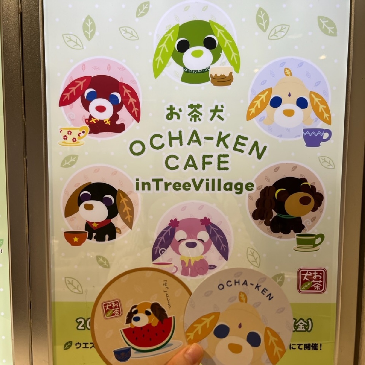 【期間限定】懐かしい！「お茶犬カフェ」が東京ソラマチに現る！