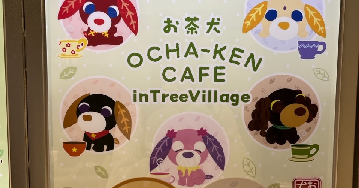 期間限定】懐かしい！「お茶犬カフェ」が東京ソラマチに現る！ | MORE