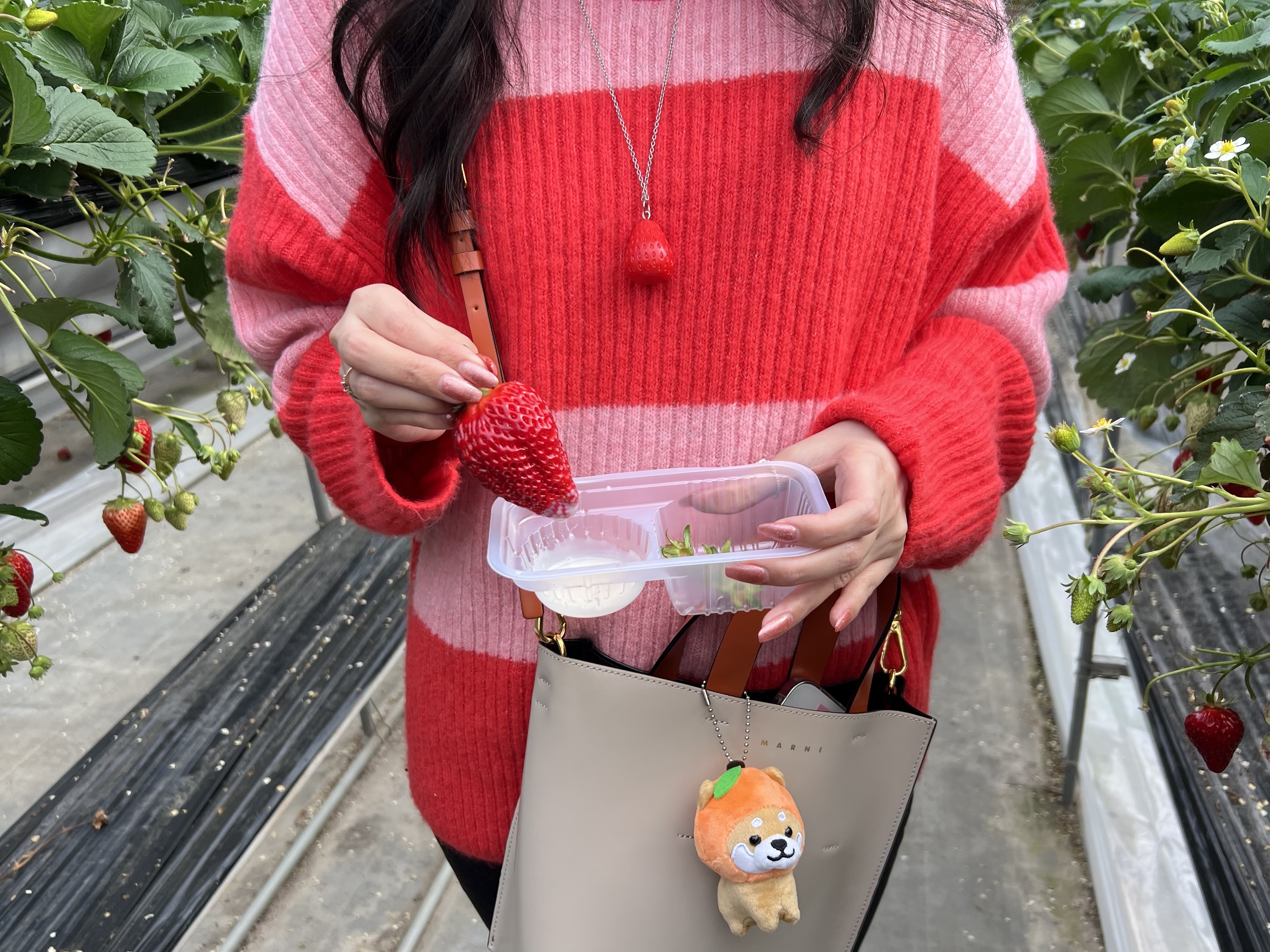 【旅行】今こそしずおか元気旅!いちご狩りの画像_11