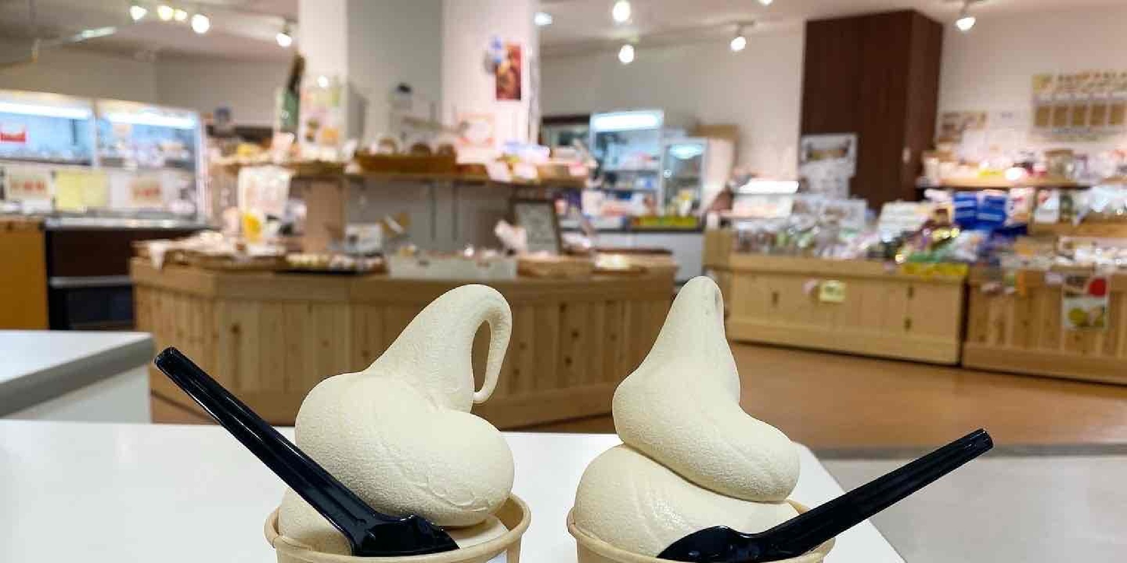 【富山・金沢】グルメ&お出かけ情報満載《2024年6月公開記事まとめ》旅のインスタライブ情報も◎