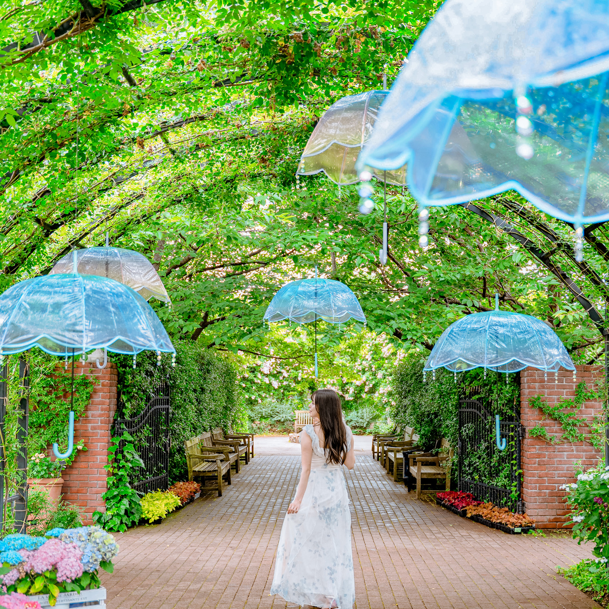 【神奈川・横浜】紫陽花💠これからが見頃！バラ園で人気なあの場所で紫陽花フェス💠✨