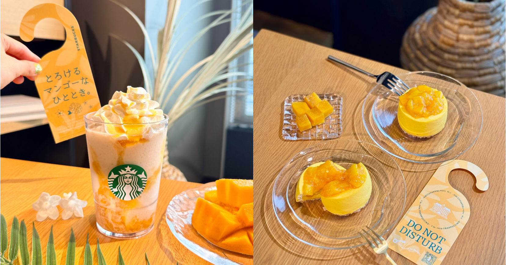 6408e095-a045-4547-9636-