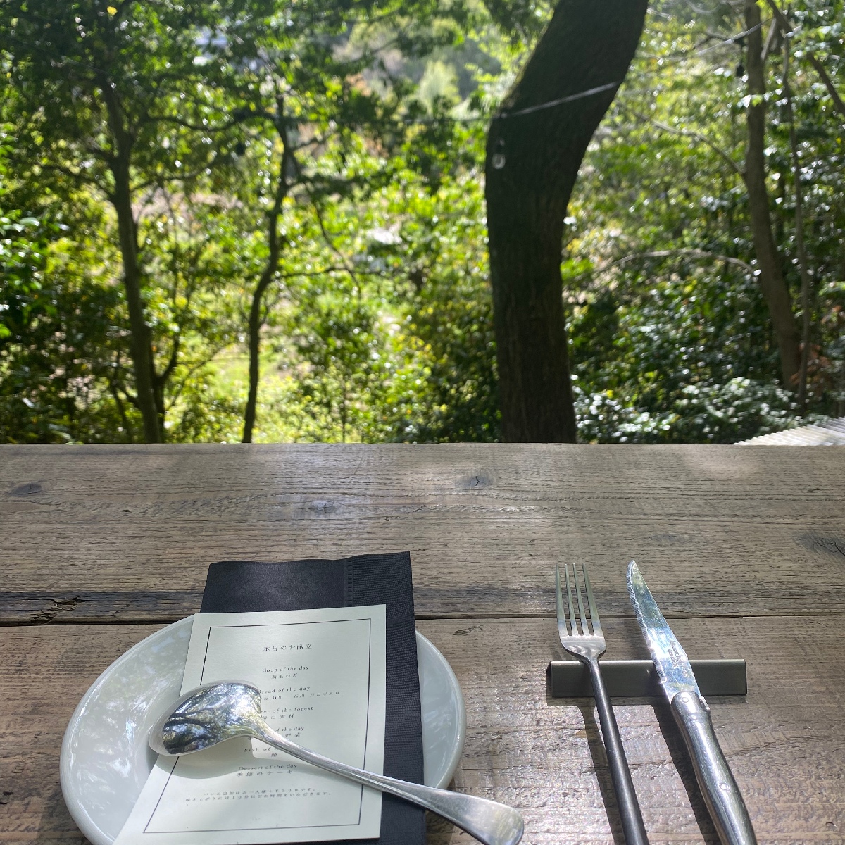 【奈良】森の中の隠れ家レストラン！自然と美食が織りなす至福の時間
