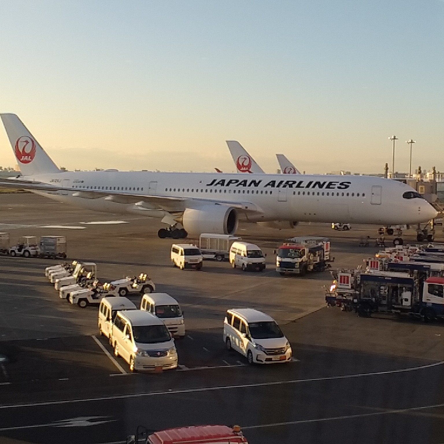 A350で福岡ひとり旅✈空の旅のしめは“空港で一人もつ鍋”