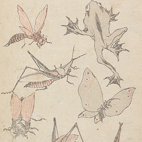 【島根】島根県立美術館で北斎の版本世界を堪能！「永田コレクション」第2章が開幕