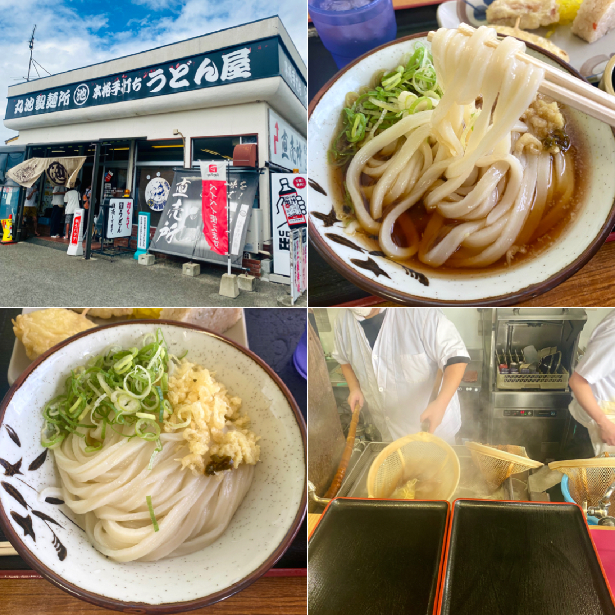 【徳島グルメ】徳島で一番美味しいうどん屋さん！うどん百名店に選ばれた名店《丸池製麺所》