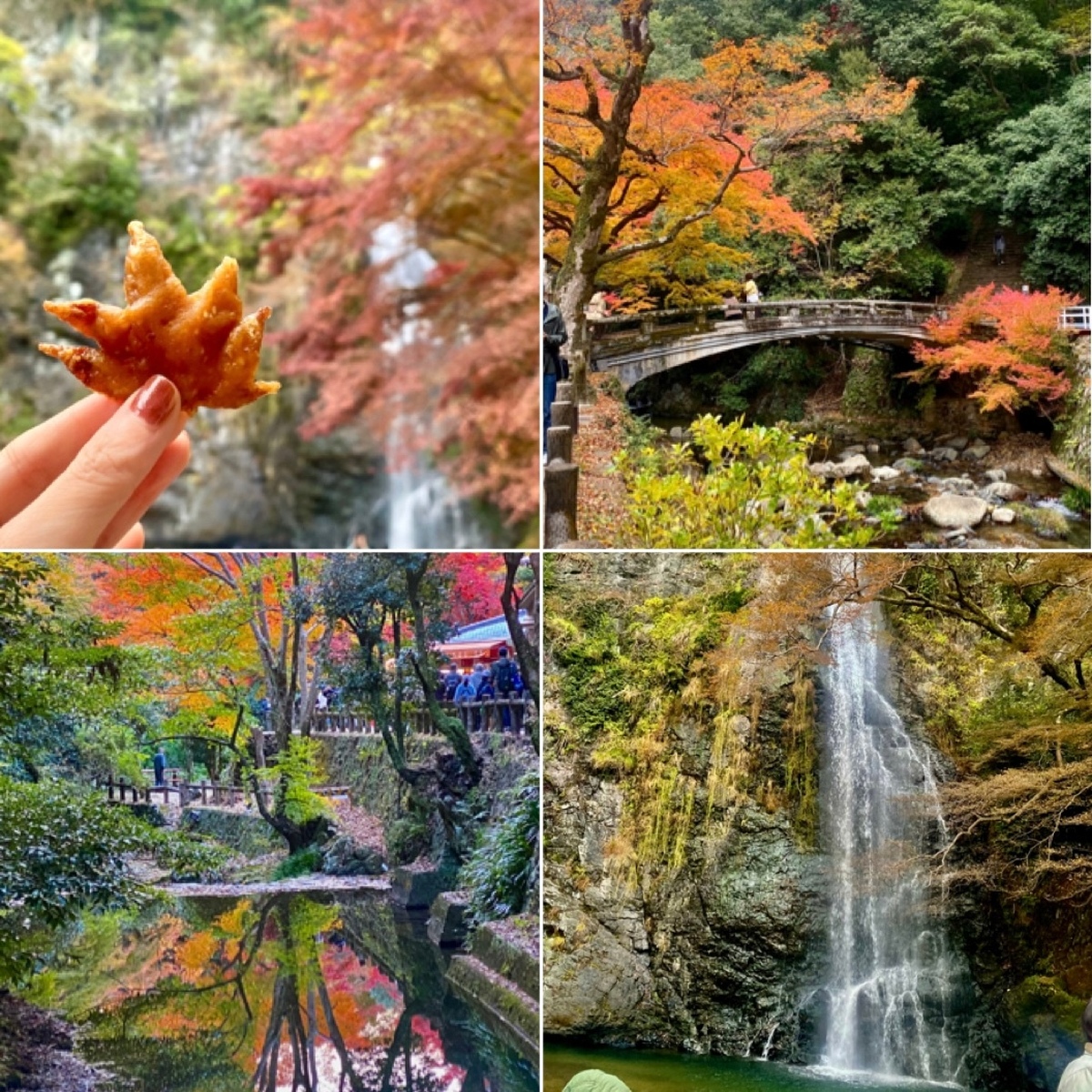 【大阪・箕面】おすすめ絶景紅葉スポット！駅から30分で大絶景！《箕面大滝》も楽しめる箕面山へハイキング★