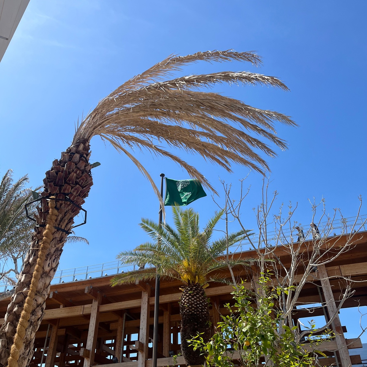 【大阪万博・EXPO2025】話題沸騰！魅力溢れるサウジアラビア館へ🇸🇦✨