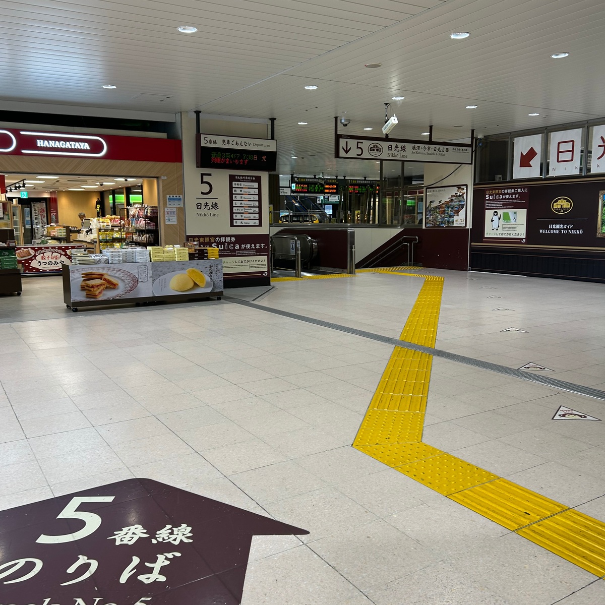 【栃木県】日光東照宮へ行ってきました！