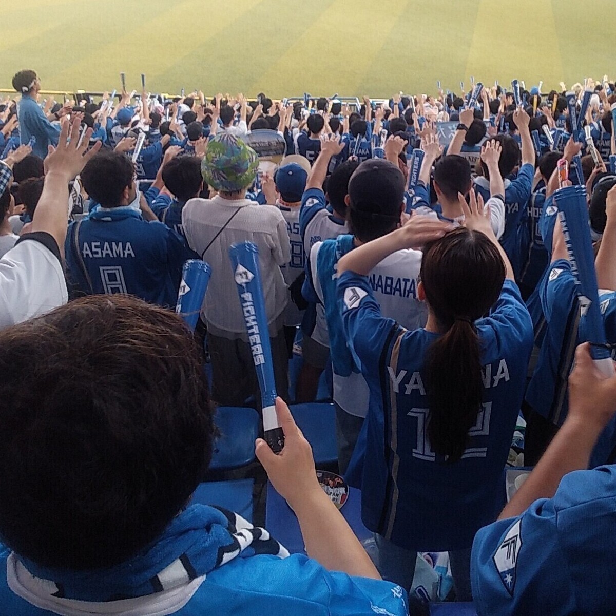 🏟️ZOZOマリン観戦レポ【女性ひとりでも楽しめた！】