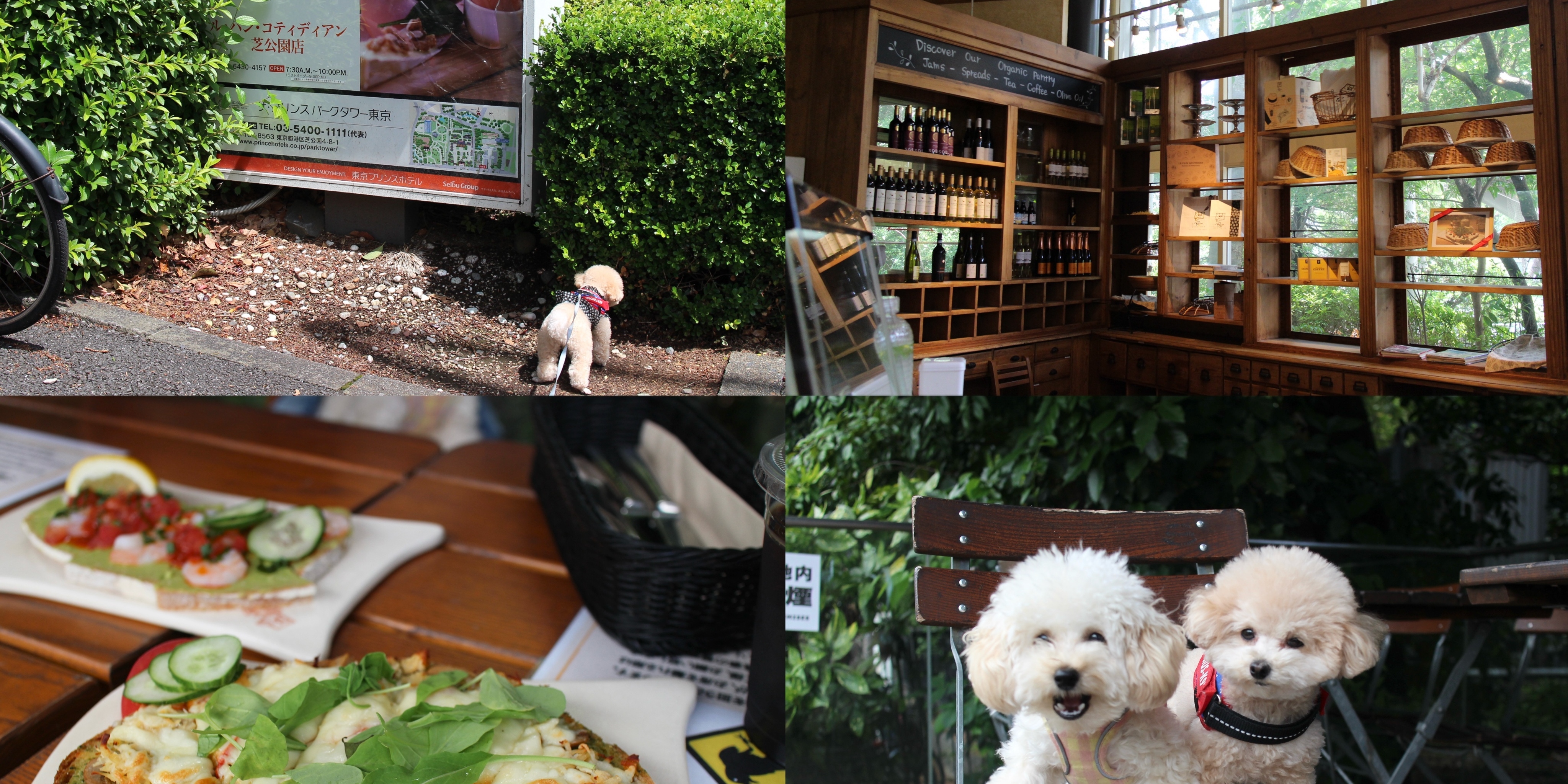 【東京｜芝公園】テラス犬OK｜ル・パン・コティディアン芝公園店 