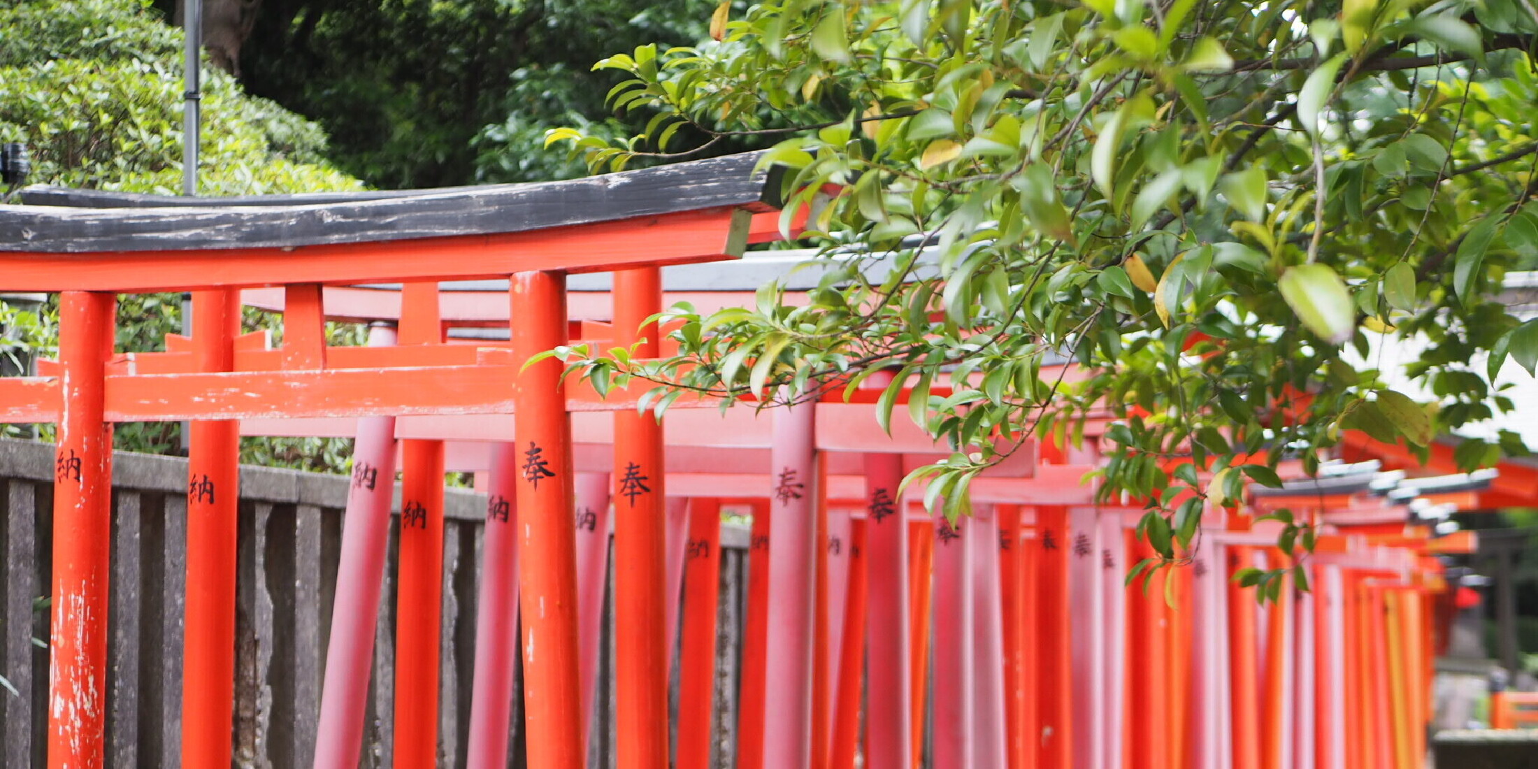 【おすすめ日帰り旅】東京・千駄木〜根津のほっこり幸せお散歩スポット3選♡