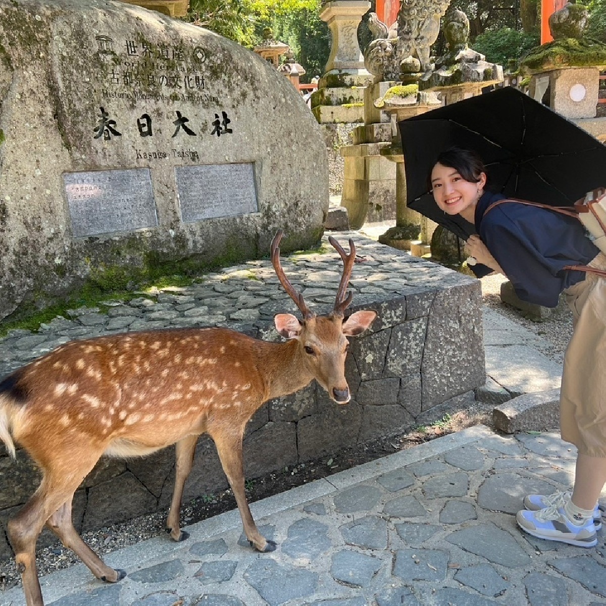 奈良公園の鹿と縁結び：春日大社〈夫婦大国社〉で良縁祈願と幸福な絆