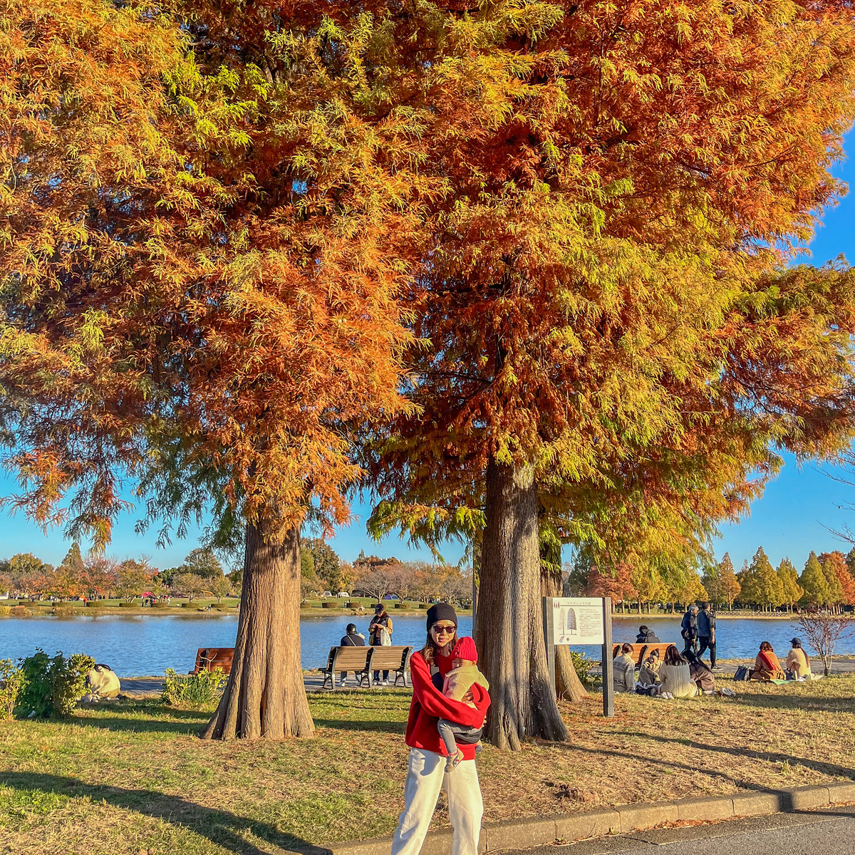 【子連れおすすめ紅葉スポット】紅葉が見られる東京23区内の大型公園をご紹介🍁