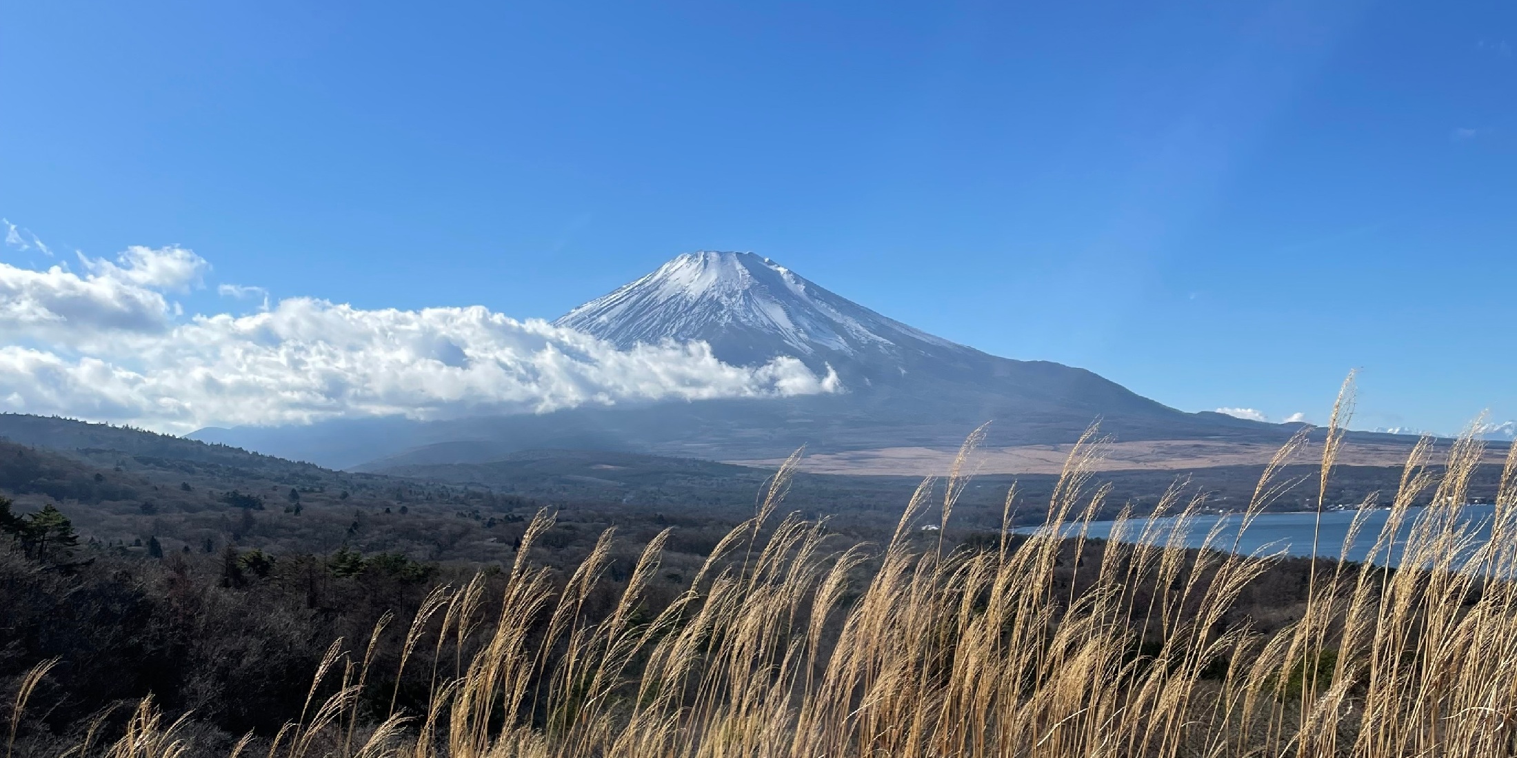 マリオットホテル山中湖レポ