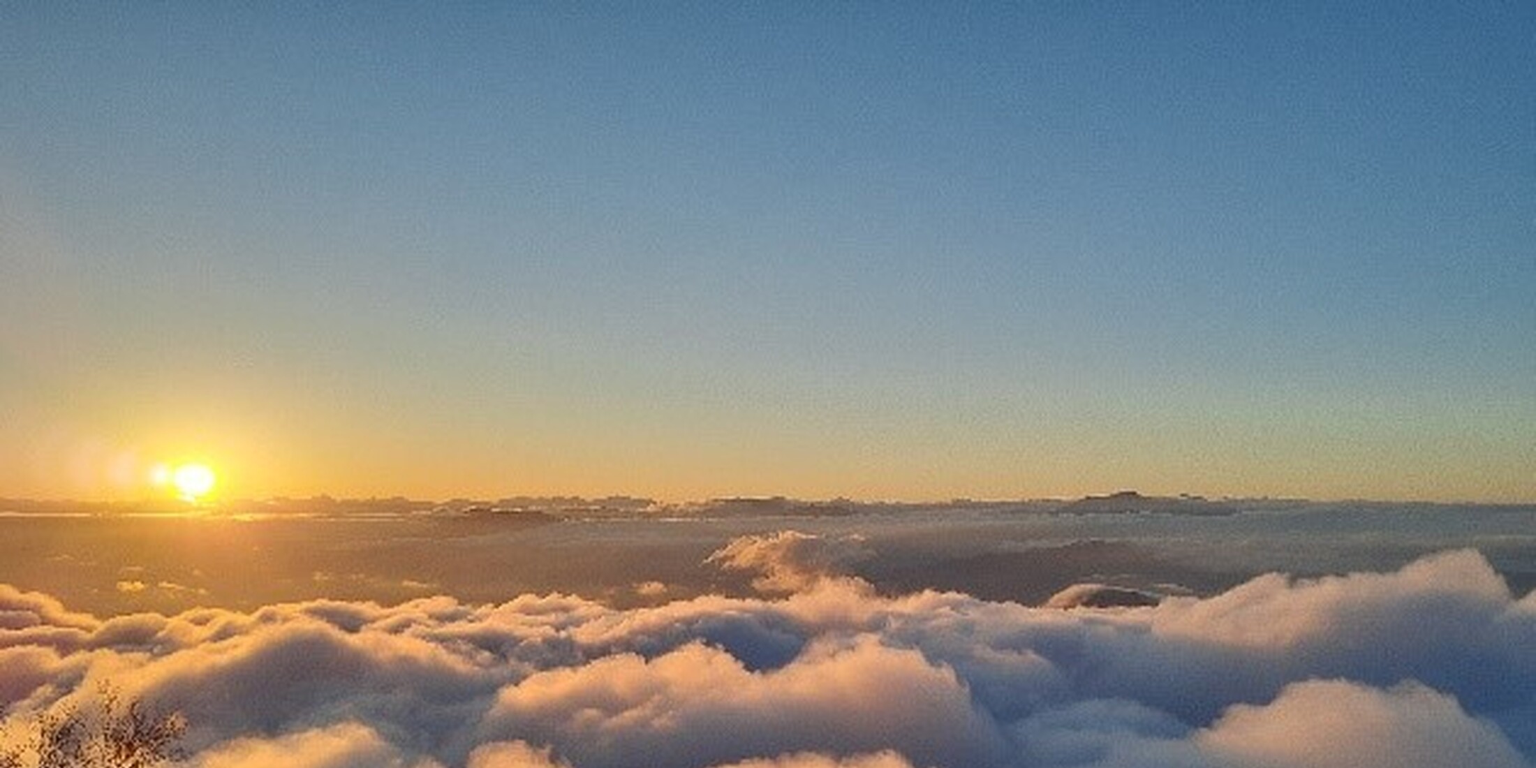 【長野】雲海に出会う「SORA terrace」が、グリーンシーズンの営業を開始！