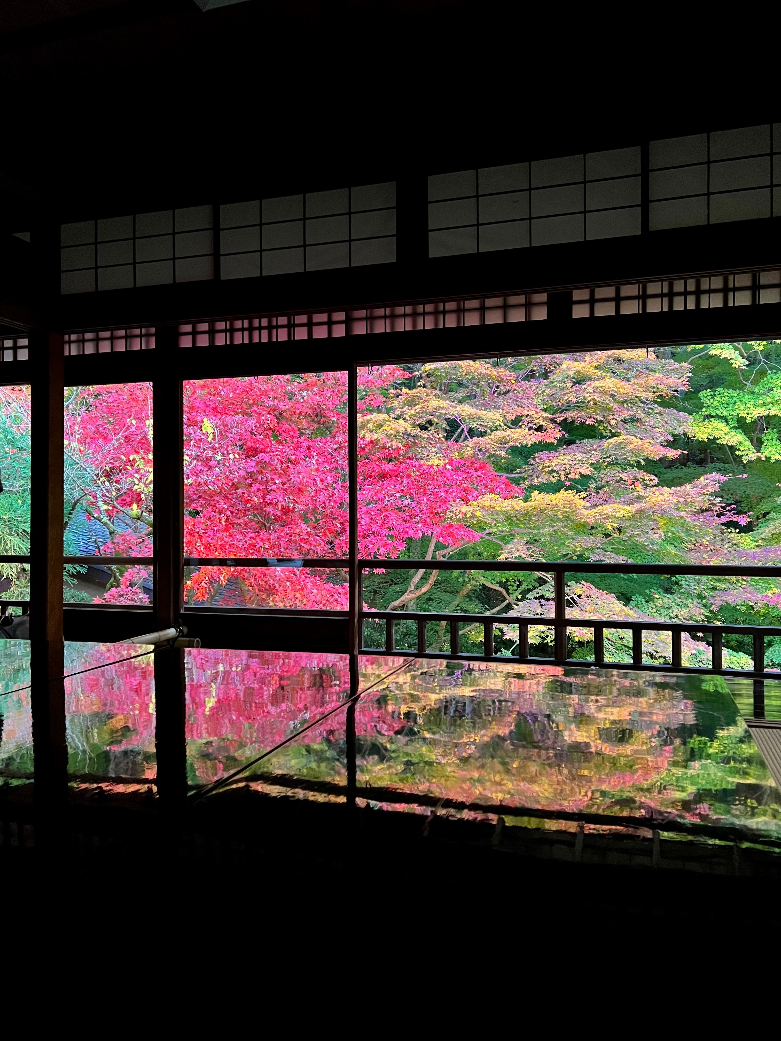 クリックでトリミング 瑠璃光院内から見る紅葉1