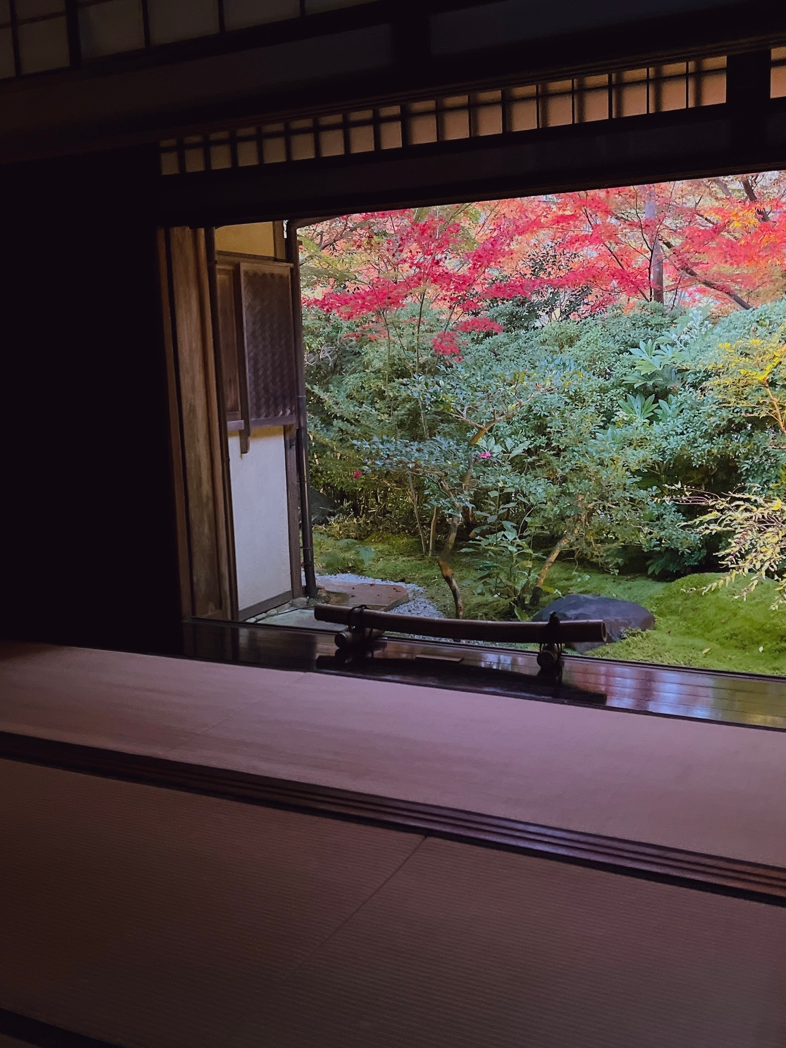 クリックでトリミング 瑠璃光院内から見る紅葉2