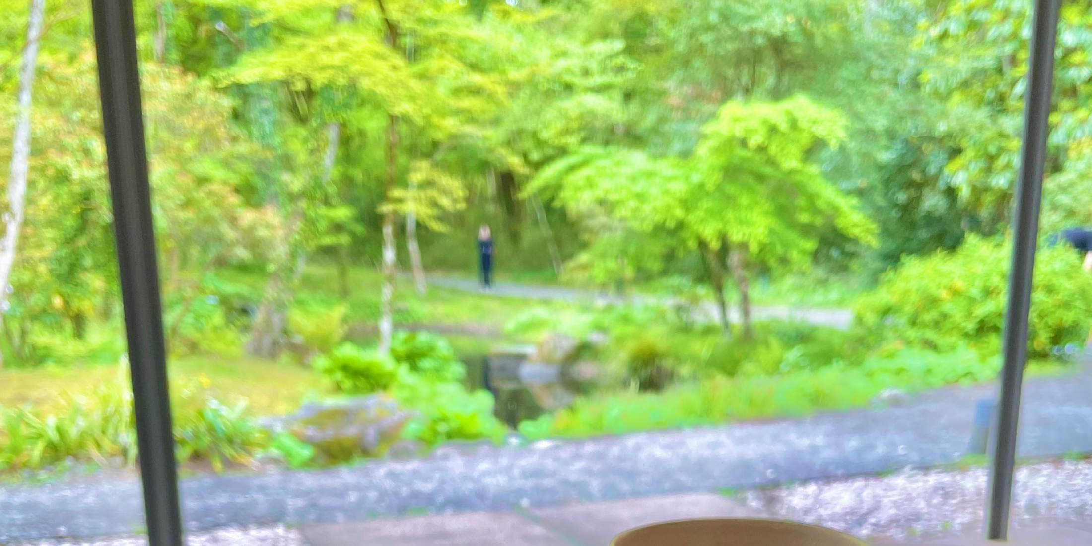 【御殿場】《静かな庭園と竹林に囲まれた癒しカフェ》でいただく本格和菓子で贅沢な時間を