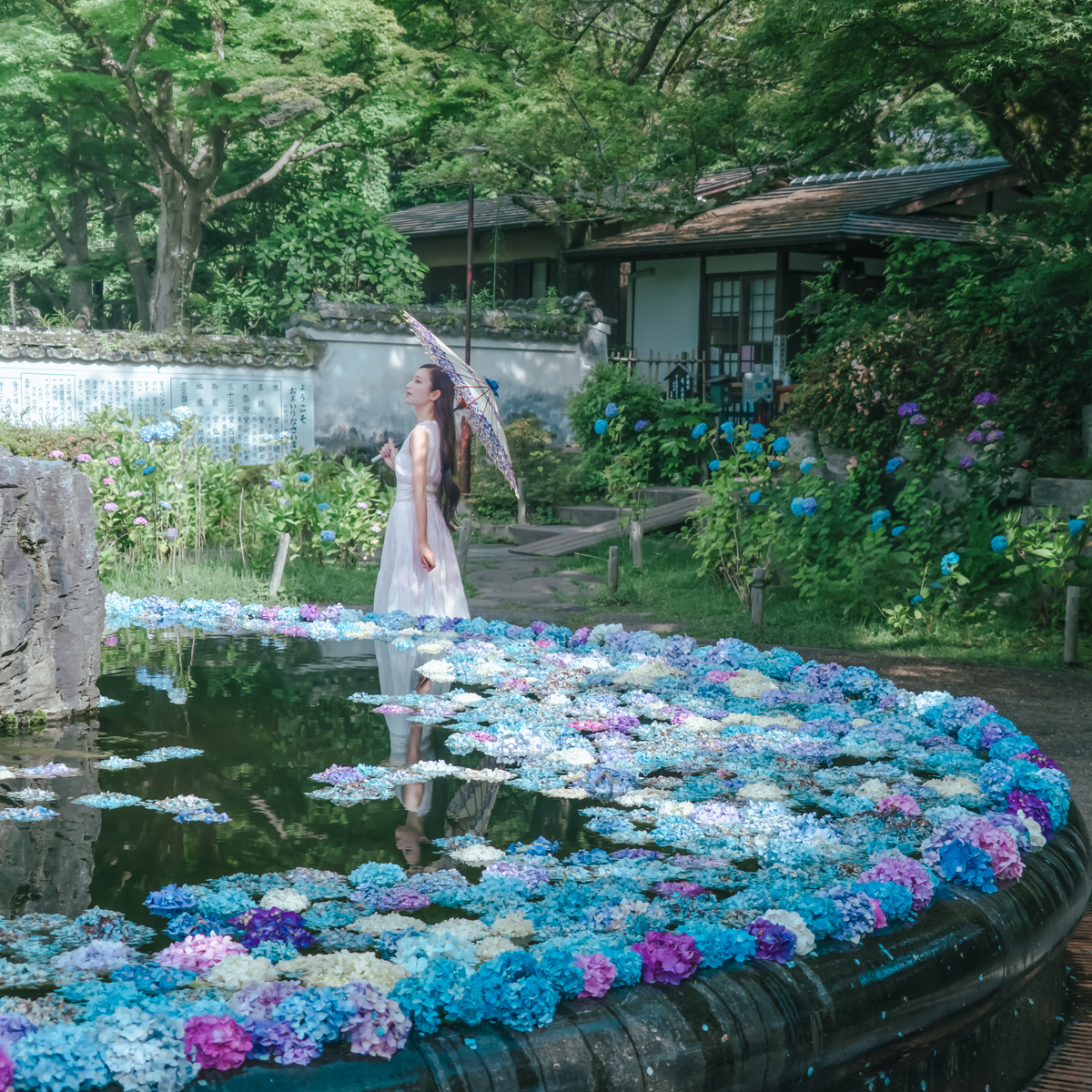 【大阪】写真映え抜群！紫陽花スポット3選