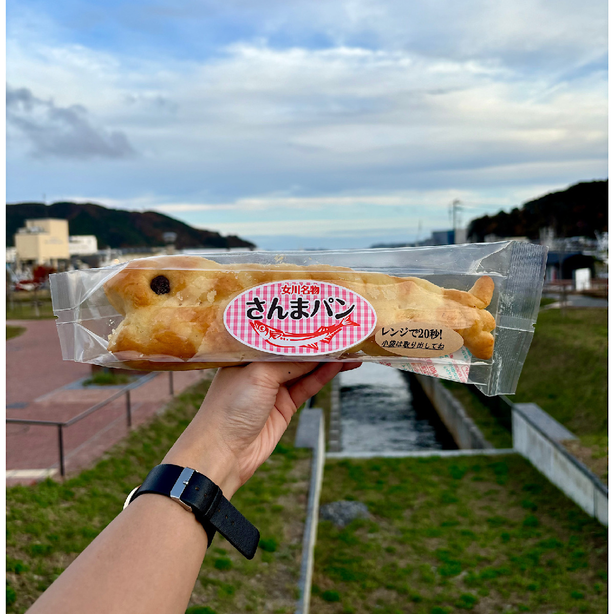 【宮城県/女川】絶品グルメが目白押し！女川町で絶対食べたい3選🐟