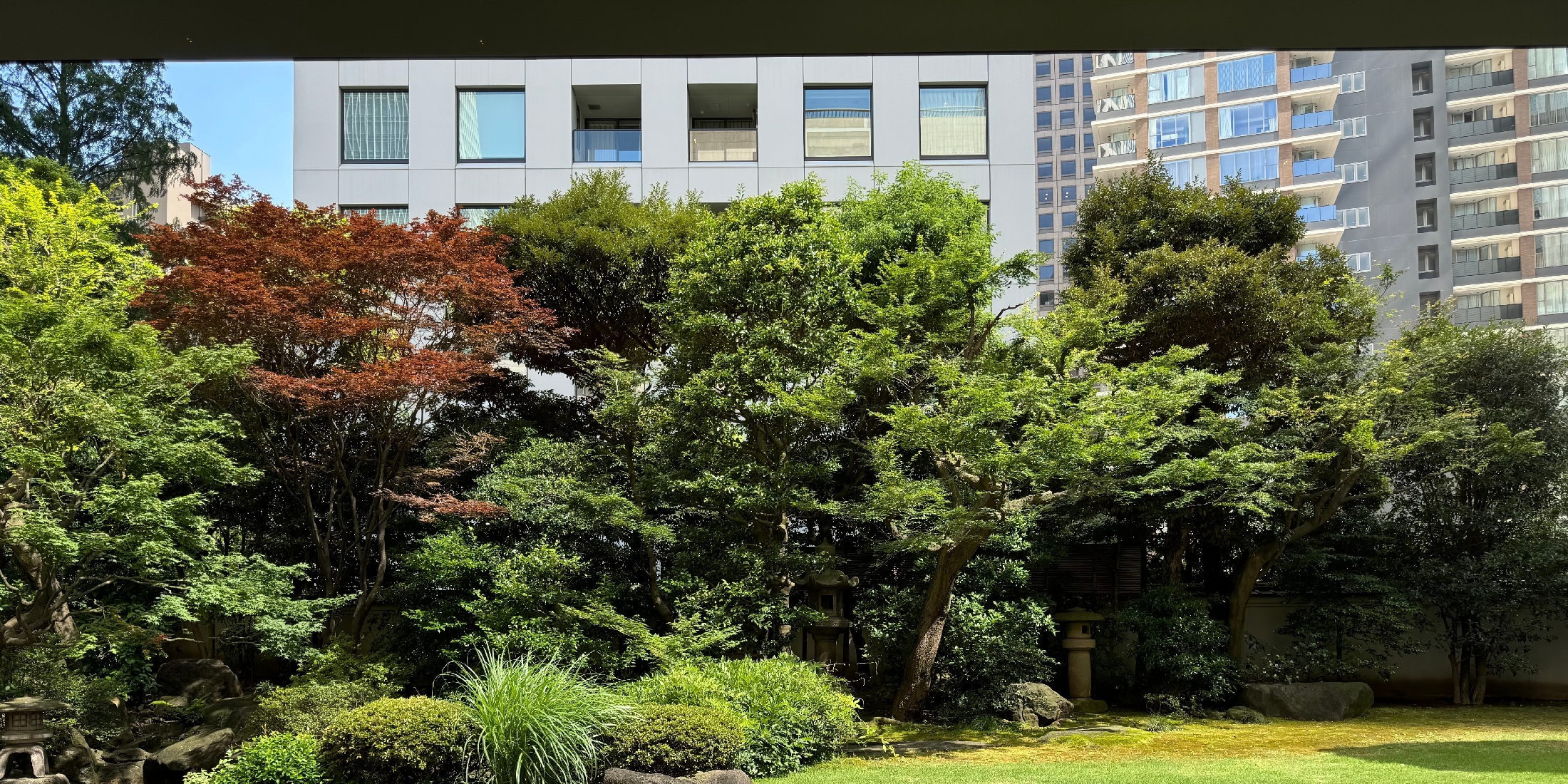 【虎ノ門】美術館カフェ☕️穴場スポット