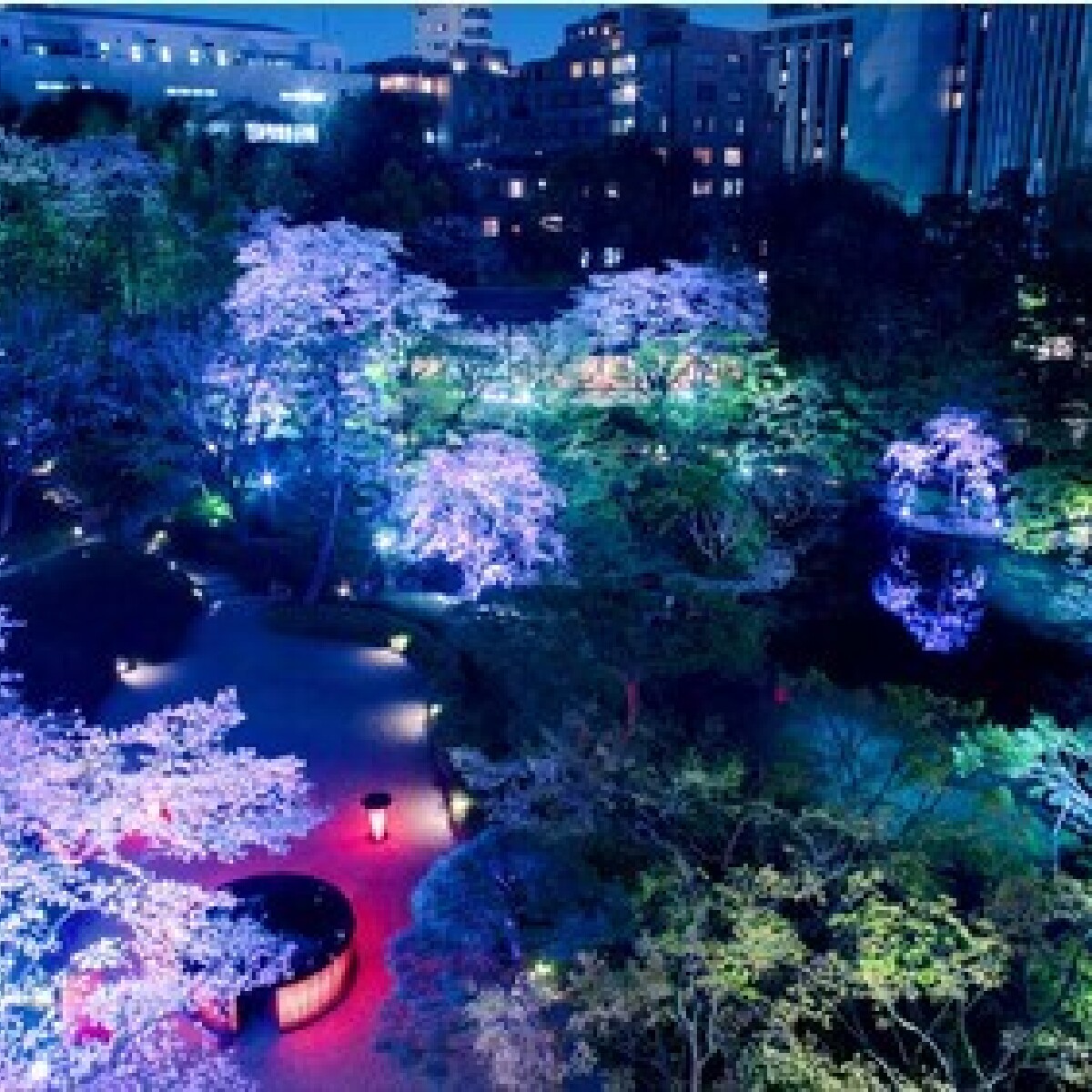 【東京の桜名所】夜桜は八芳園へGO！ デートにおすすめのイベント開催