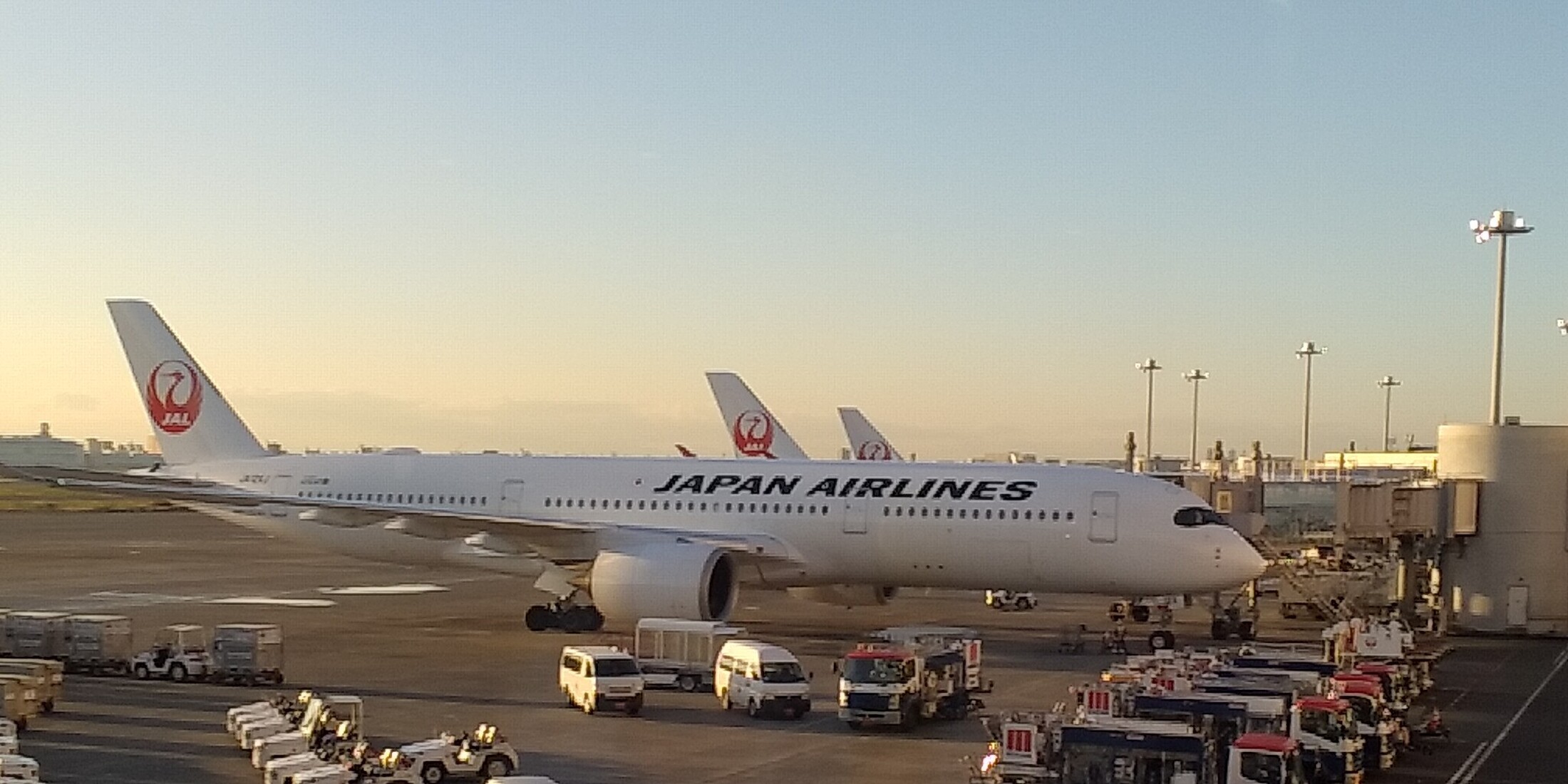 A350で福岡ひとり旅✈空の旅のしめは“空港で一人もつ鍋”