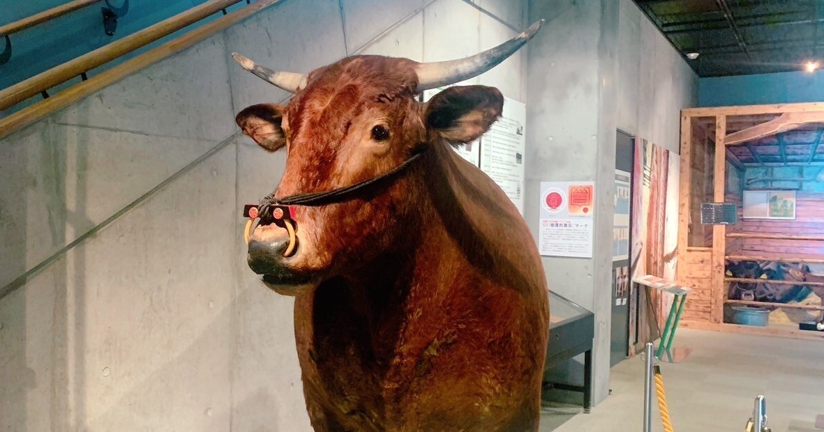岩手】これであなたも“牛マスター”！？牛のすべてを学べる「牛の博物館