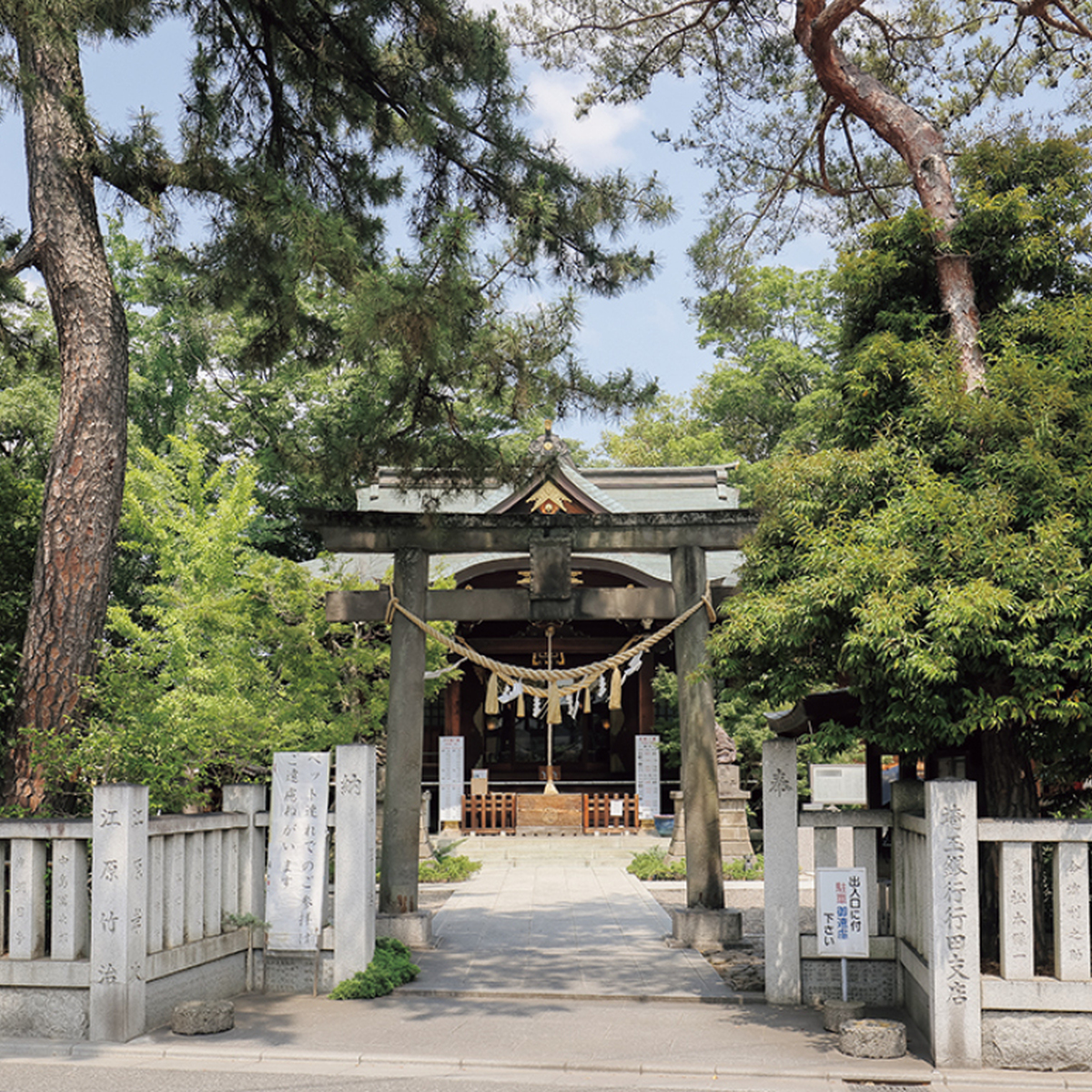 【健康運が上がる】東京から1.5時間以内で行ける神社仏閣おすすめ3選！