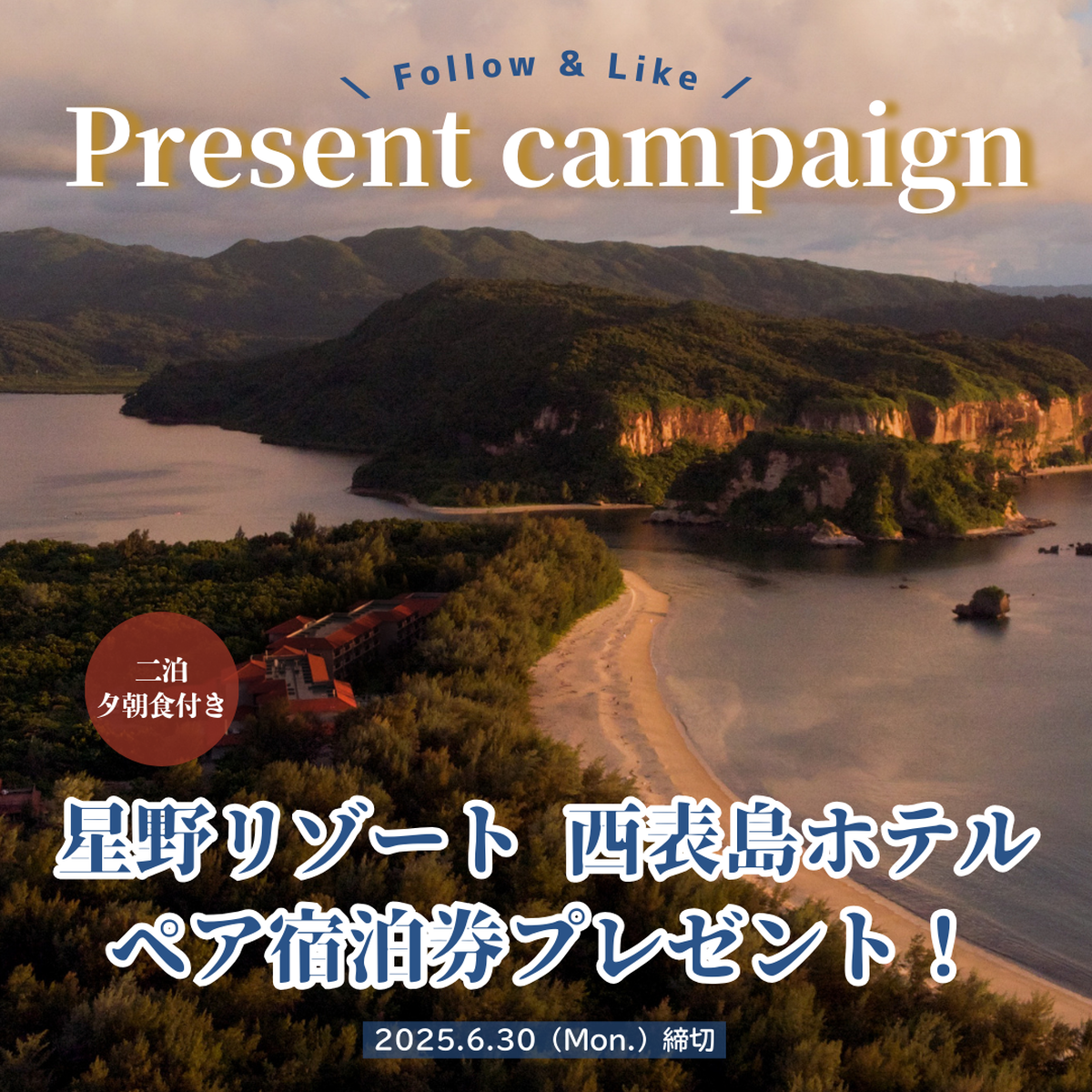 MOREプレゼントキャンペーン