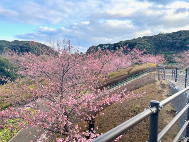 【長崎】ウォーキングやお散歩にオススメ!の画像_1