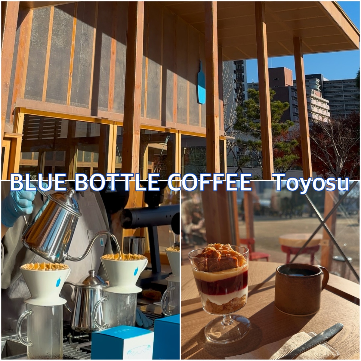 BLUE BOTTLE HOLIDAY ~ 🎄