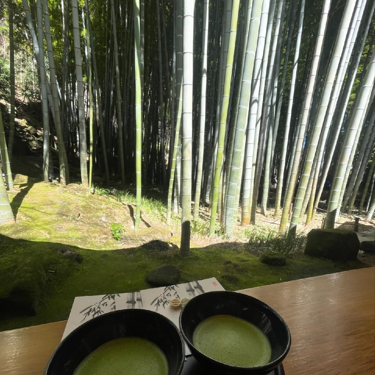 【鎌倉】竹林を眺めながらお抹茶と干菓子が楽しめる🌿