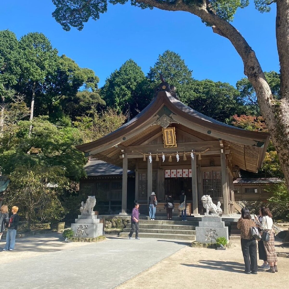 【福岡】まだまだあった！大宰府の楽しみ方！