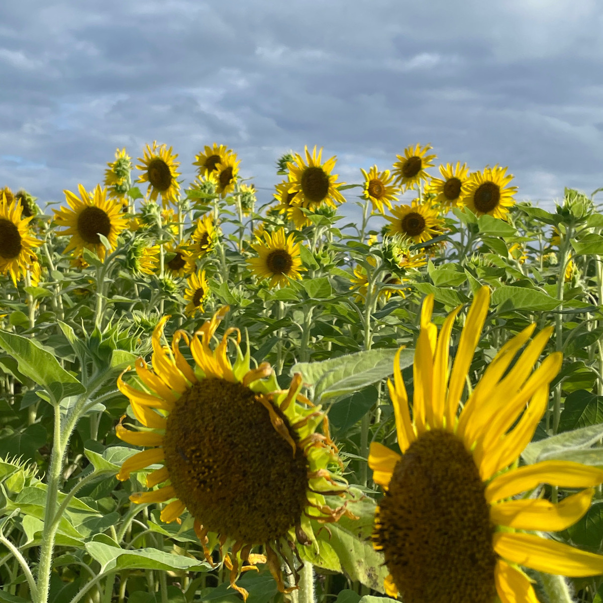 第6期もよろしくお願いします☺︎！