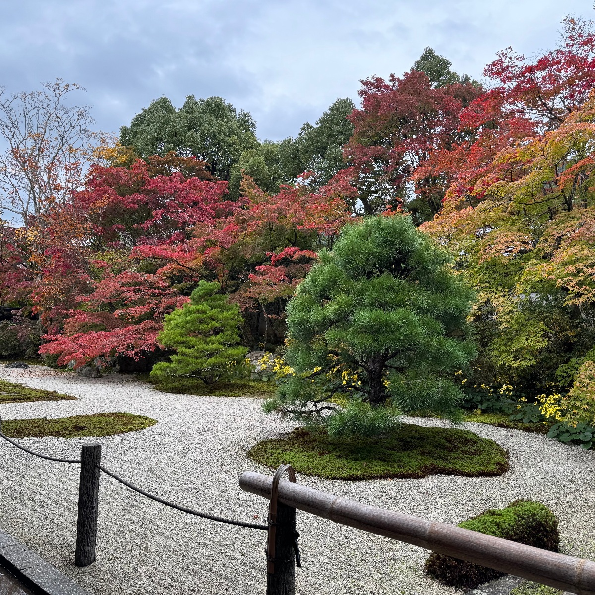 【京都紅葉】南禅寺にある穴場紅葉スポット「天授庵」がおすすめ