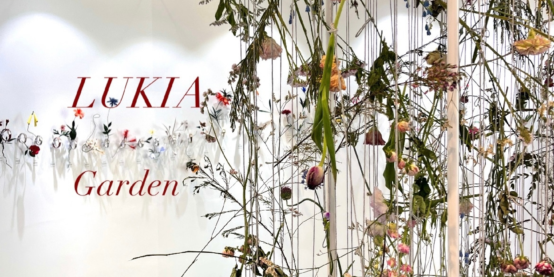 【原宿】入場無料・予約不要｜SEIKOで花と光をテーマにしたイベント開催中♪おしゃれなフラワーインスタレーションも！「LUKIA Garden」