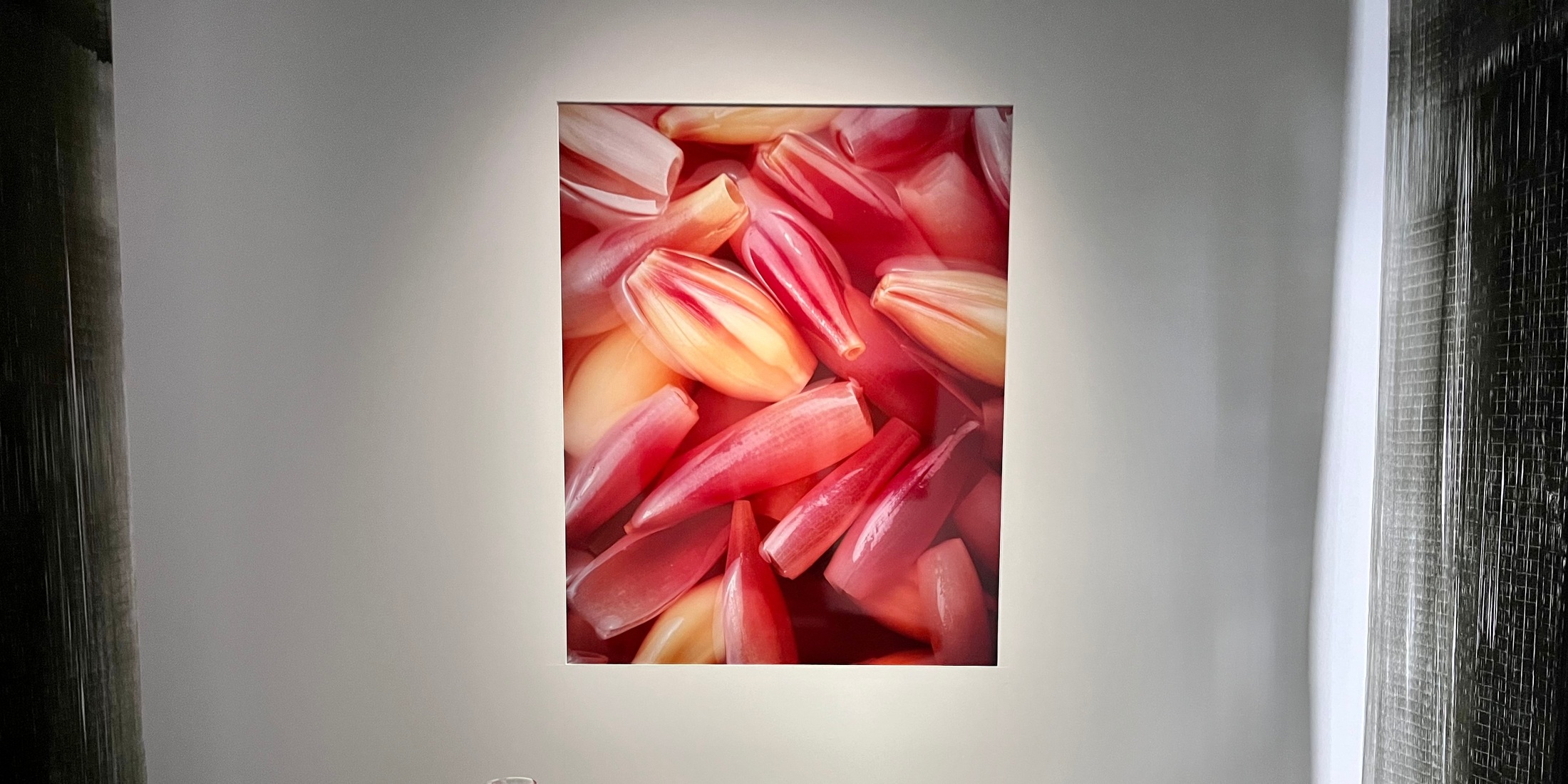 【京都】ISSEI　MIYAKE　KYOTOにて”水”をテーマにした展示会開催中「水を味わう　水を纏う」