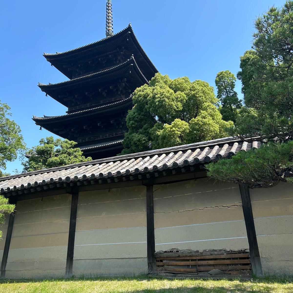 MORE JAPAN