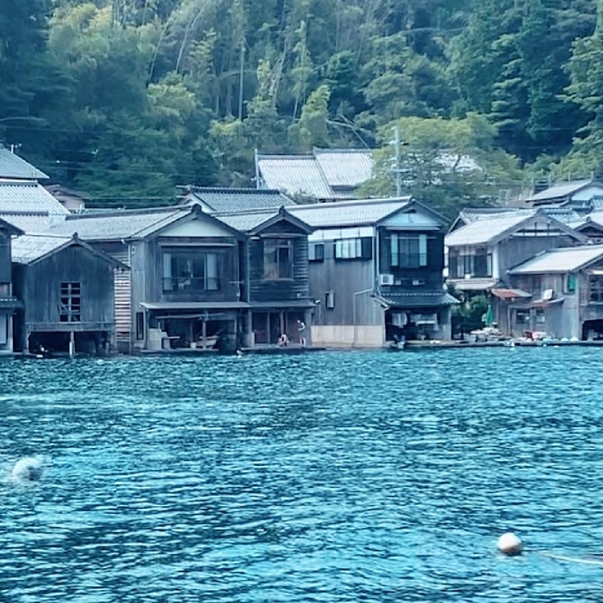 【海の京都】京都行くなら絶対行って‼️伊根の舟屋