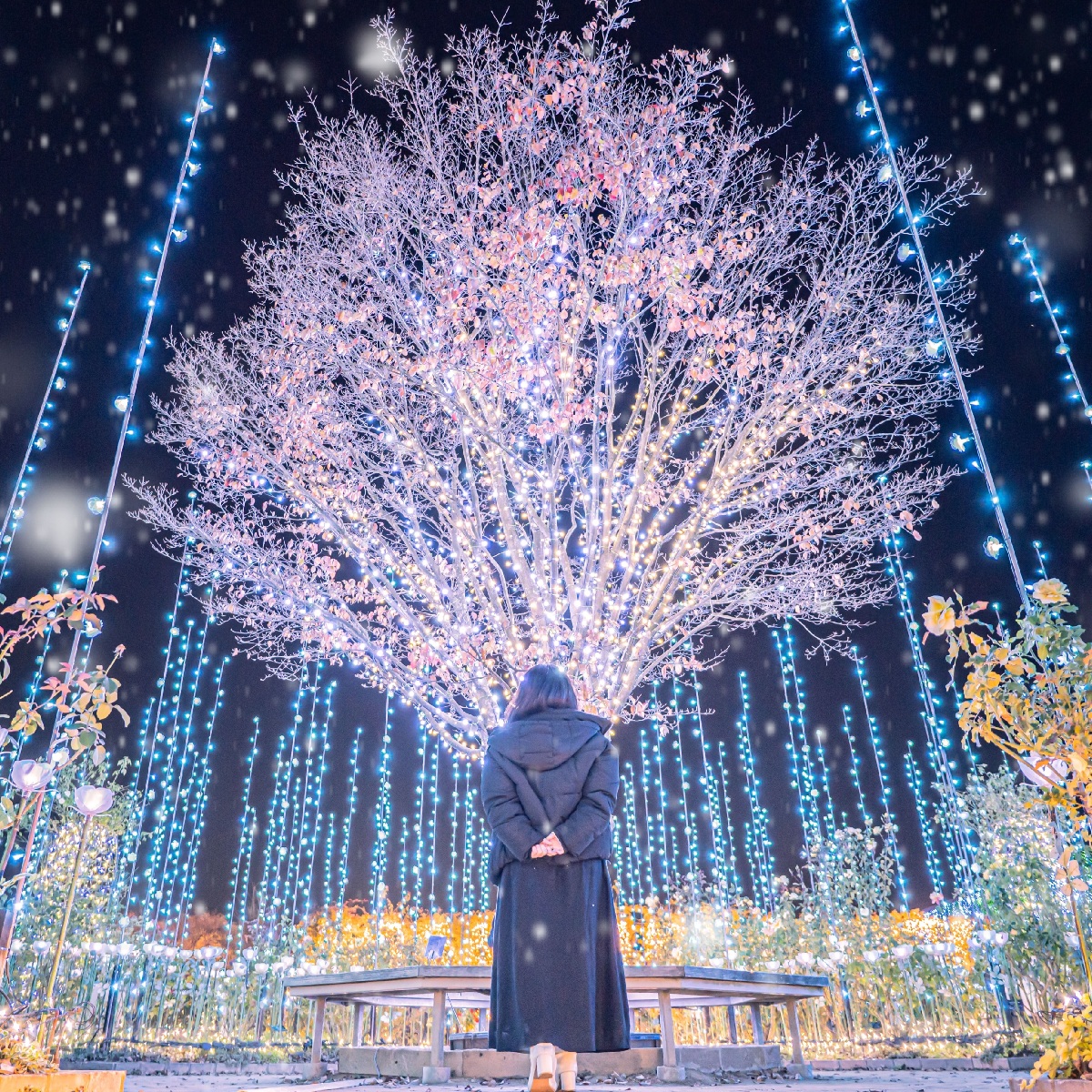 【栃木】全国1位！日本三大イルミネーションの「あしかがフラワーパーク」が『光の花の庭～Flower Fantasy2023～』を開催