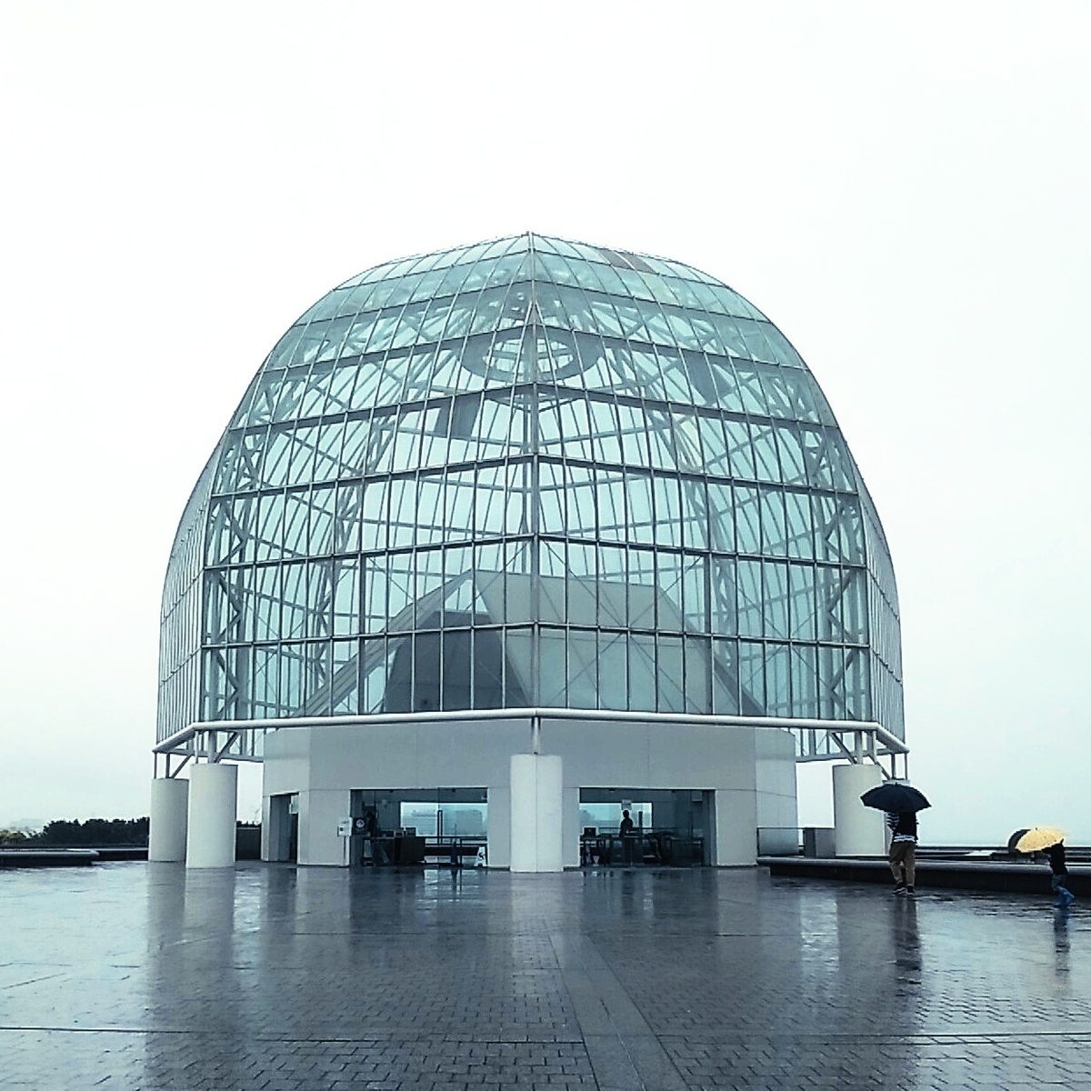 【東京】雨と紫陽花と…マグロの水族館、葛西臨海水族園🐟