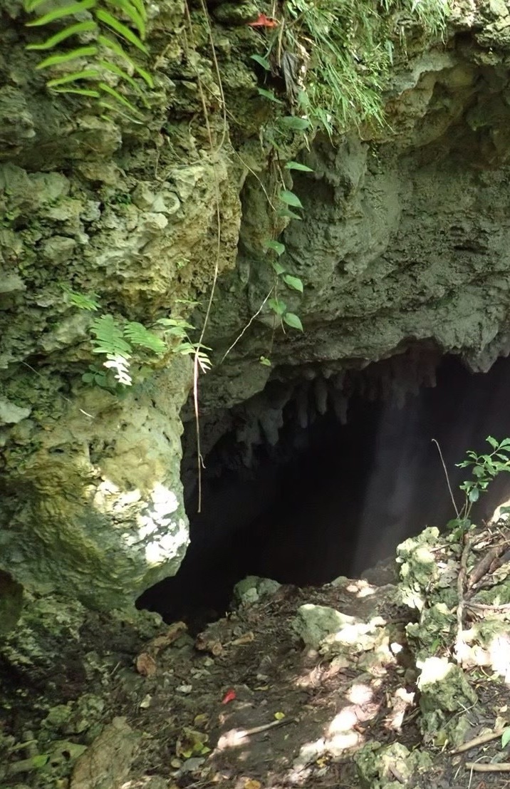 【沖永良部】楽しい!綺麗!映える!アドベの画像_3