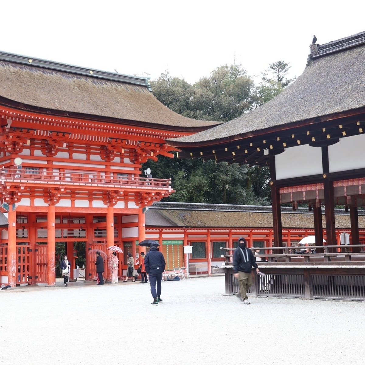 【プレ花嫁】神社挙式の難易度が思った以上に高い話①会場選び