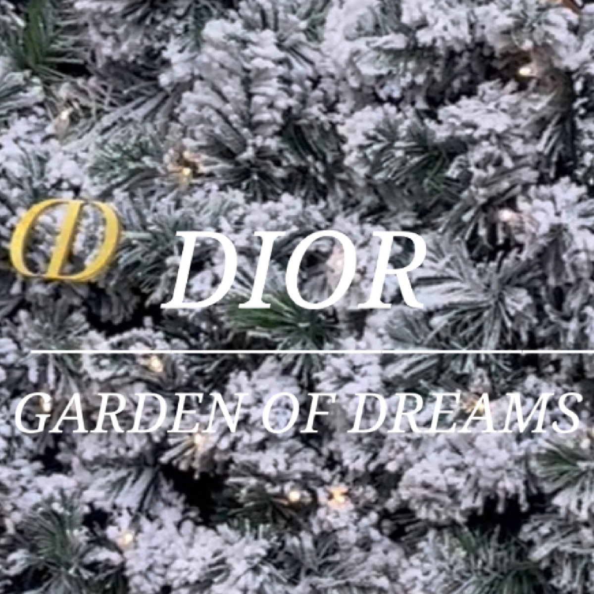【Diorポップアップイベント|六本木】予約不要・無料で体験！？煌びやかで幻想的な世界観に癒される💐ディオールの『GARDEN OF DREAMS(ガーデン オブ ドリームズ)』に行ってみて♡