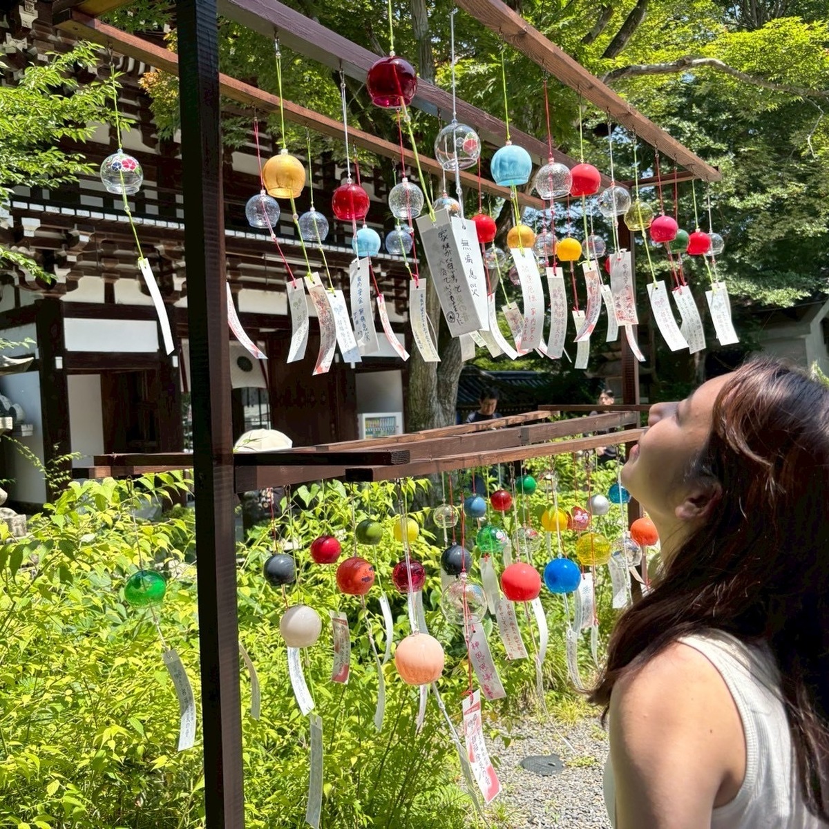 【夏の京都】松尾大社、茅の輪くぐり初めって何が行われてるの？