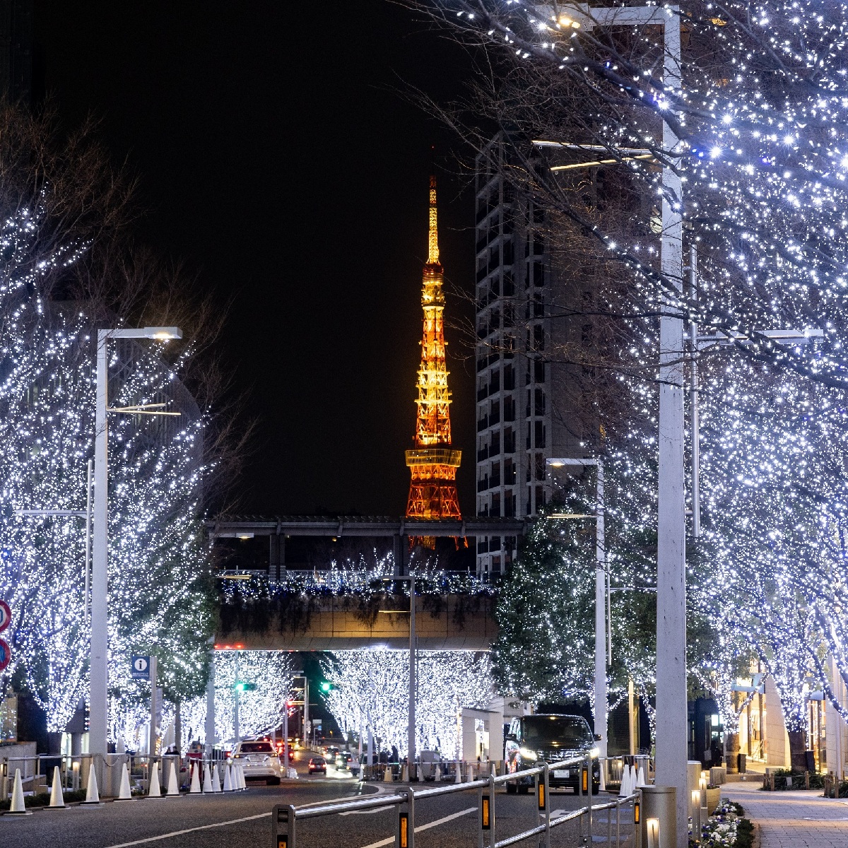 【東京】冬の風物詩・400mに渡り輝くイルミネーションやマーケットも！『Roppongi Hills Christmas 2024』開催